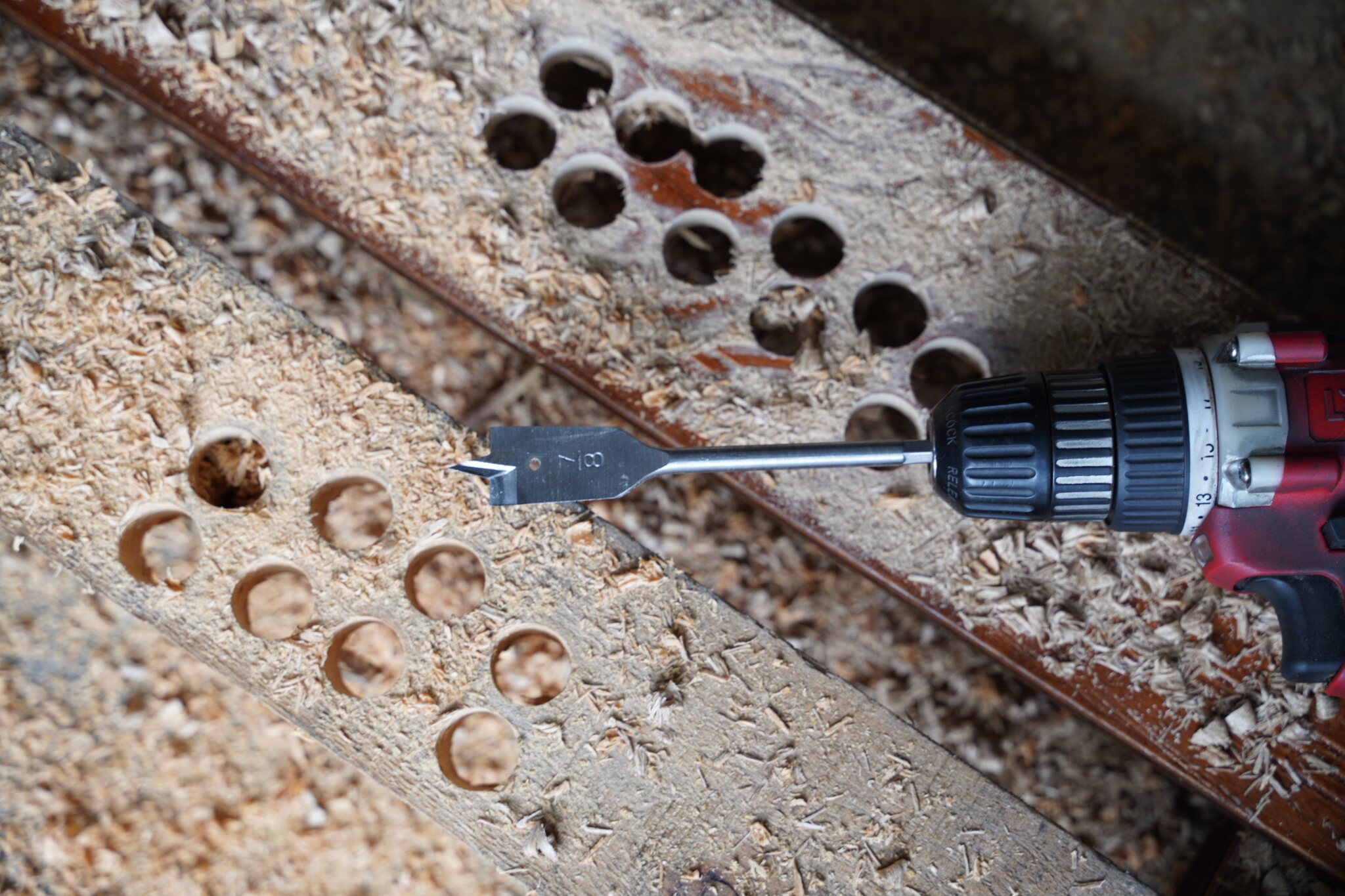 Wood spade drill bit drilling a timber board